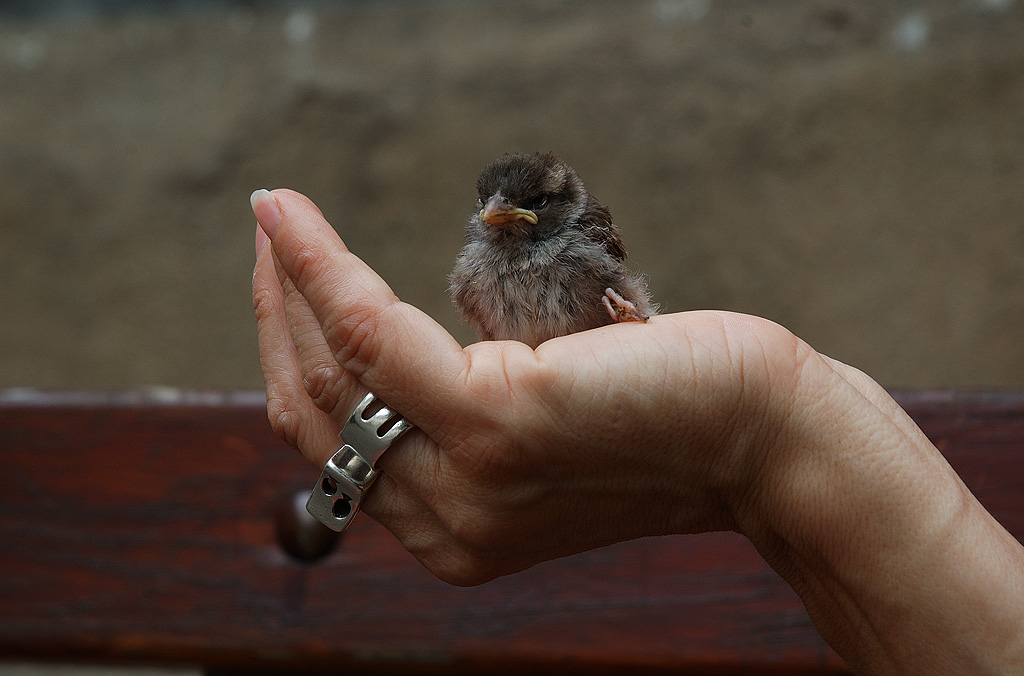 concours photo FNAC "Qui êtes-vous ? "