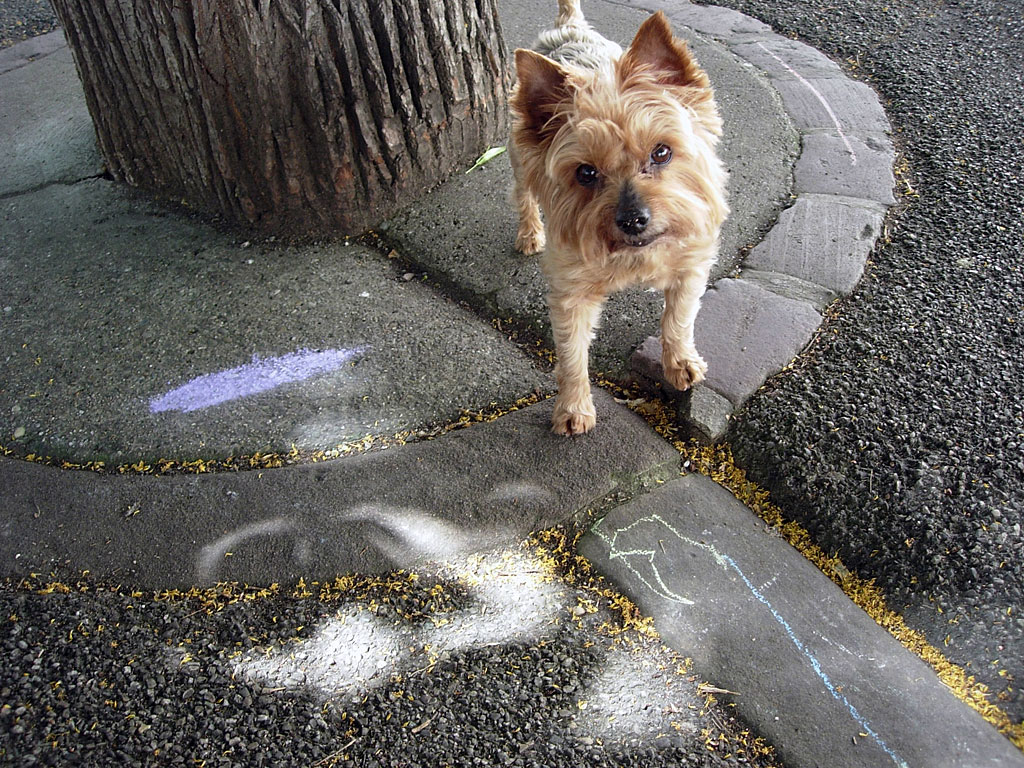 les montagnes colmarienne