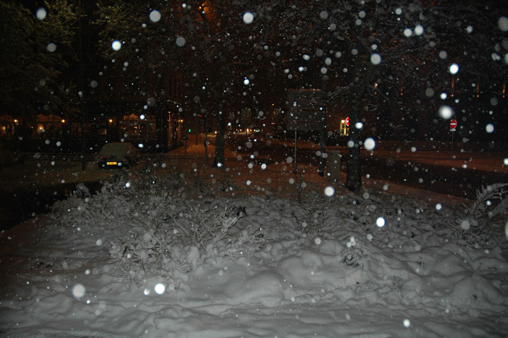 Syndrome du jumeau fantôme