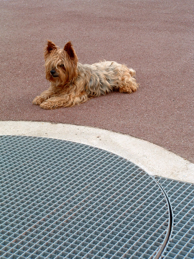 concours photo FNAC "Qui êtes-vous ? "