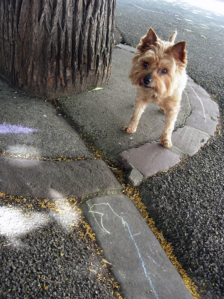 concours photo FNAC "Qui êtes-vous ? "