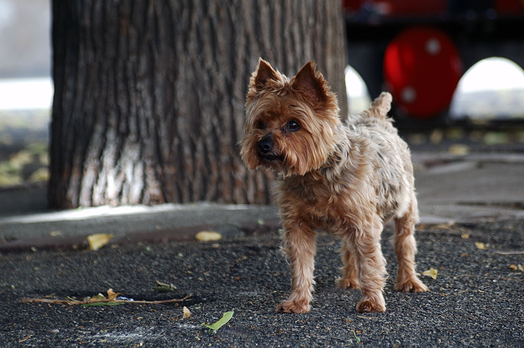 concours artistique de la Ville de Colmar pour promouvoir la création artistique à Colmar