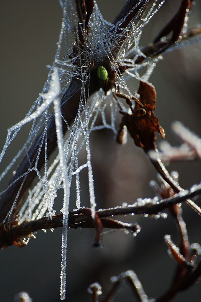 C'est de la torture, j'ai faim moi