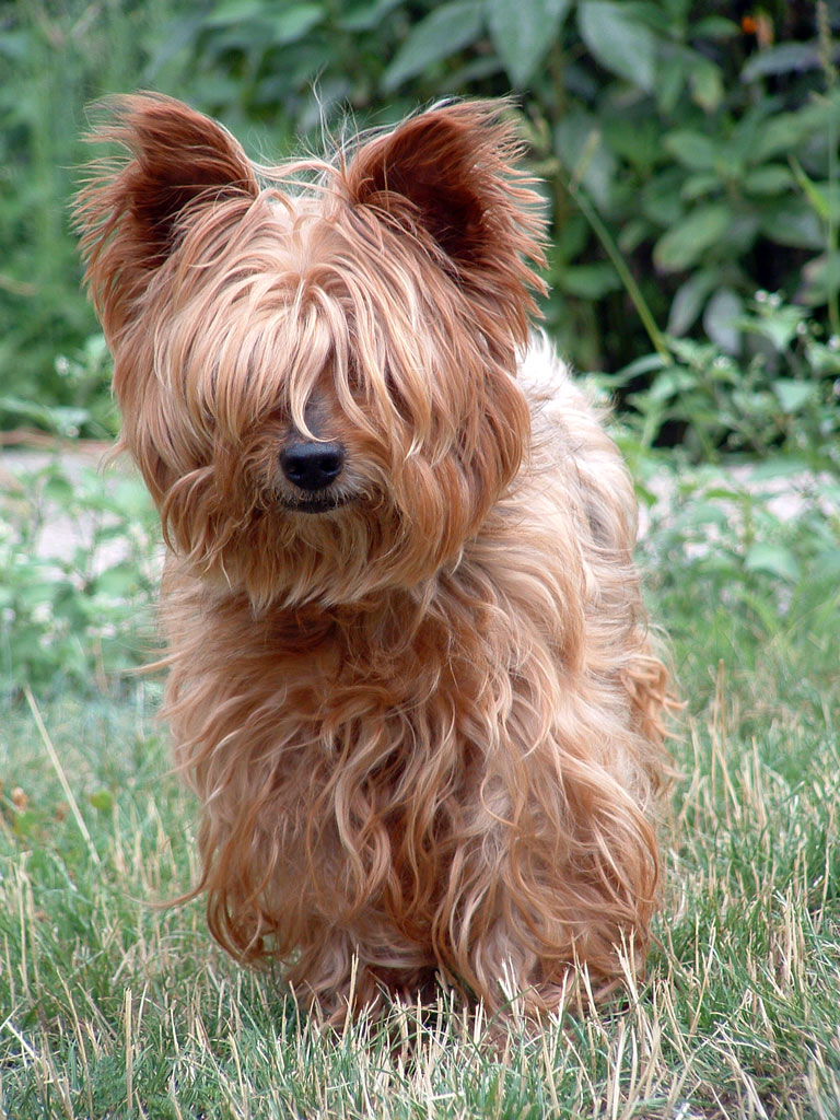 concours photo FNAC "Qui êtes-vous ? "