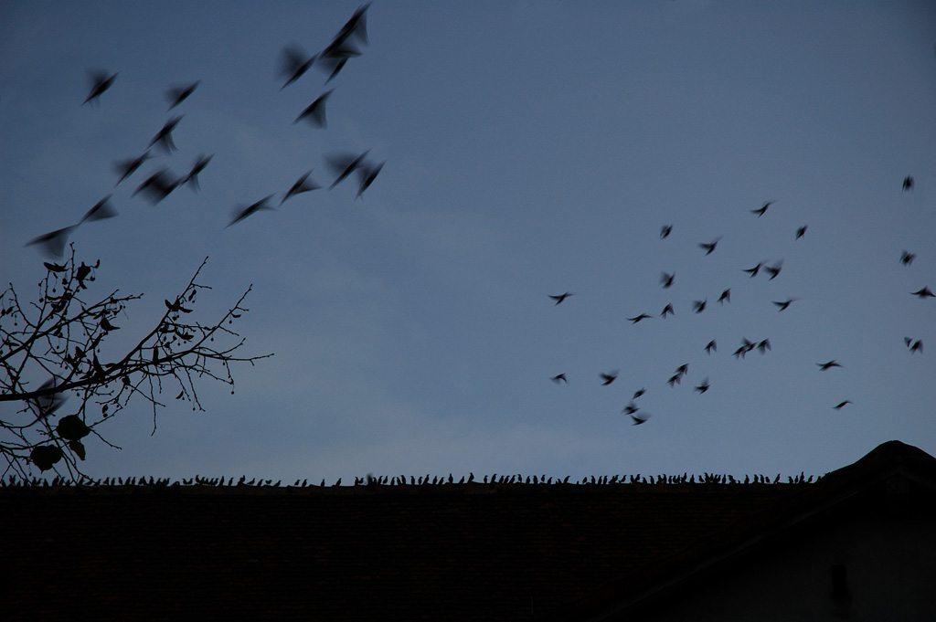 concours artistique de la Ville de Colmar pour promouvoir la création artistique à Colmar