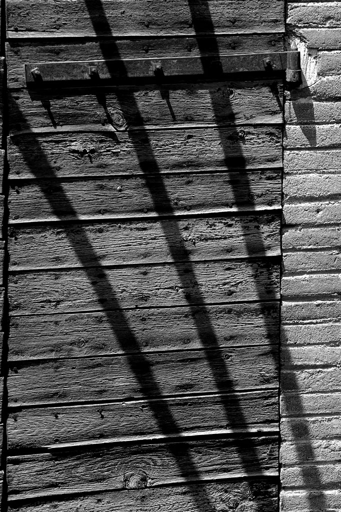 Syndrome du jumeau fantôme