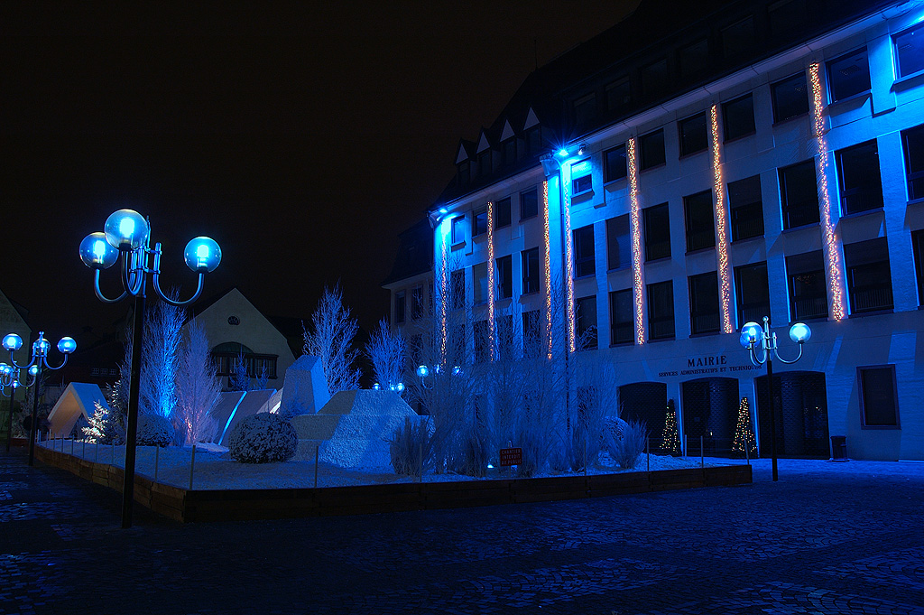 Syndrome du jumeau fantôme